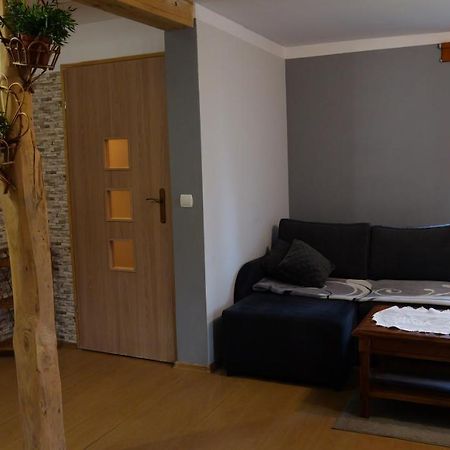 Apartamenty Lucky-Ski Ustrzyki Dolne Extérieur photo