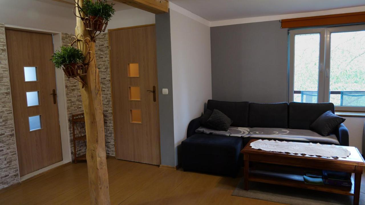 Apartamenty Lucky-Ski Ustrzyki Dolne Extérieur photo